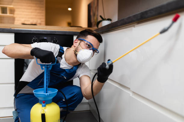 Best Exterminator Services  in Chase, PA