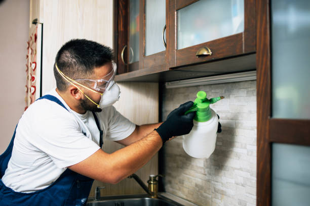 Best Pest Control Near Me  in Chase, PA