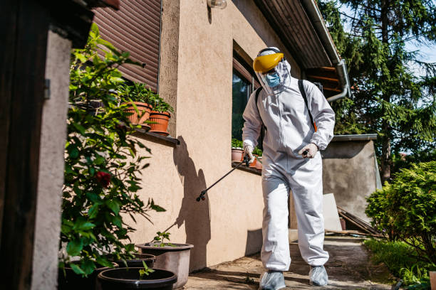 Best Insect Control  in Chase, PA