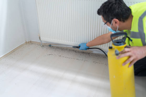 Best Pest Removal Services  in Chase, PA